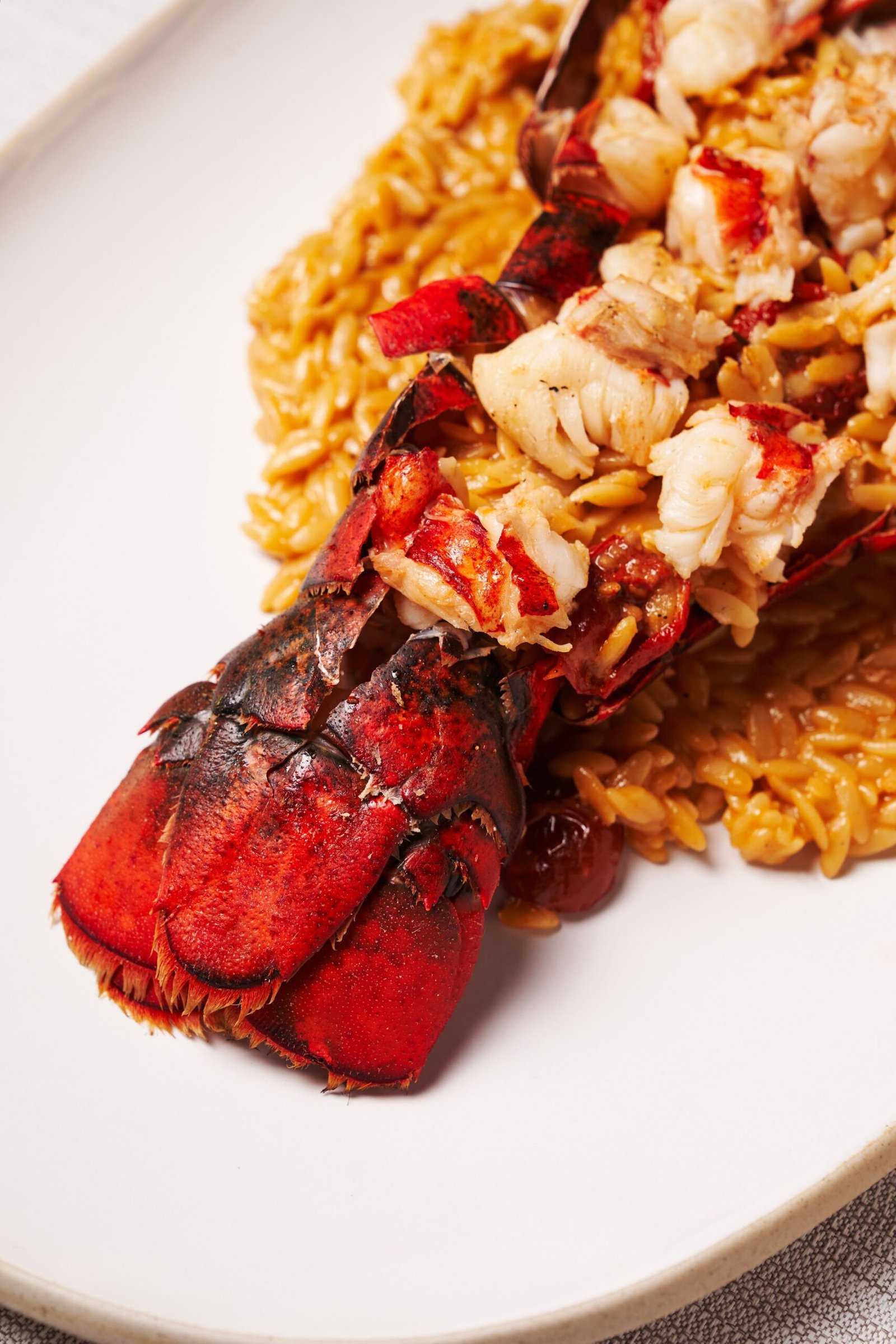 Lobster Orzo: An Elegant Seafood Dinner for Special Occasions Lobster tail with tender lobster meat served over creamy orzo on a white plate.